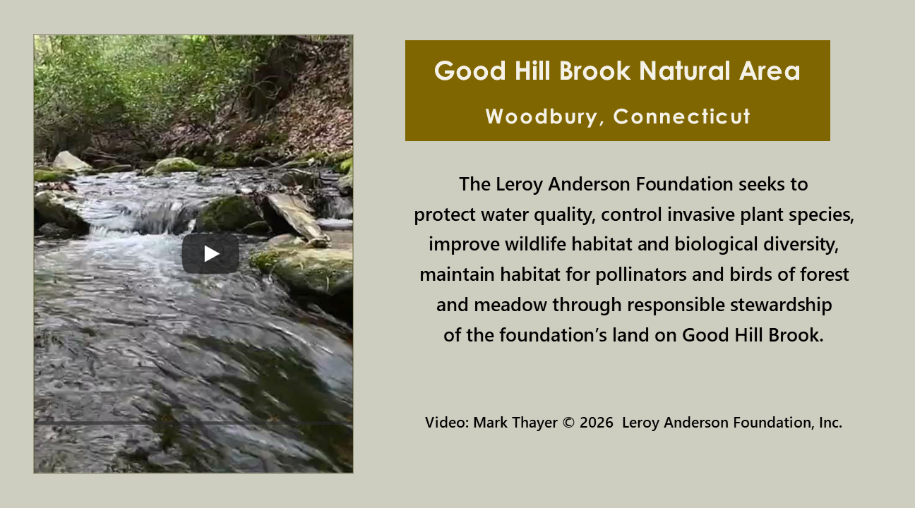 Good Hill Brook Natural Area